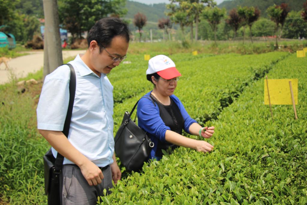 教师进农户，理论下基层——英国上市365全体党员教师赴英山县乌云山村学习调研